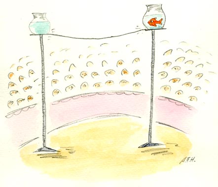 fisch16