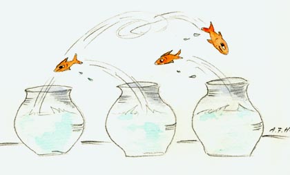 fisch17