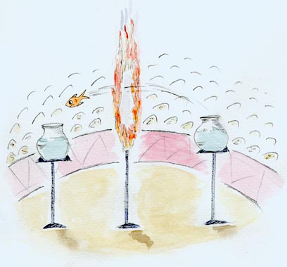 fisch18