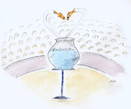 fisch23