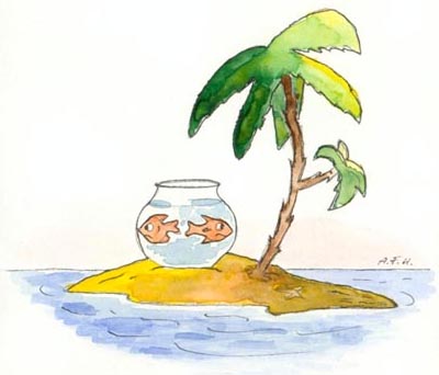 fisch17