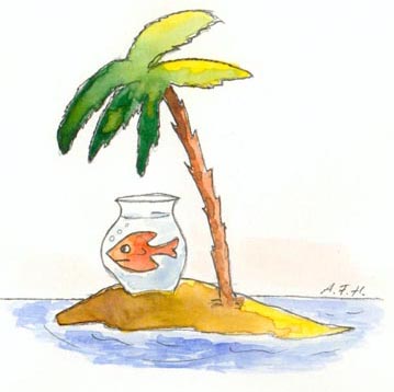 fisch17