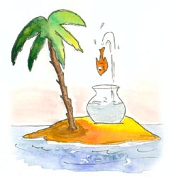Auf zu neuen Ufern