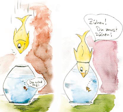 fisch12